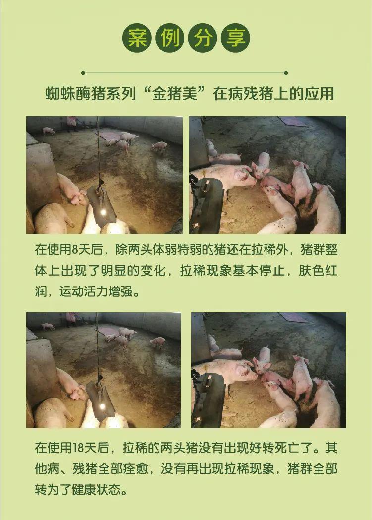 2020年畜牧业很多人或举步维艰危言耸听