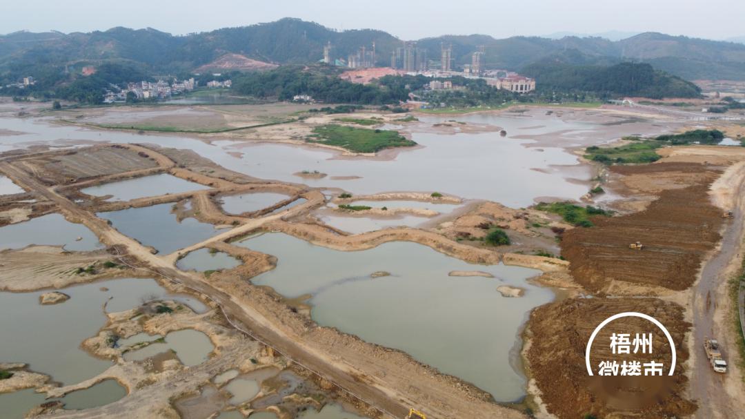 梧州蒼海新區半島酒店所在地塊開始填土了就在蒼海湖中未來又一網紅