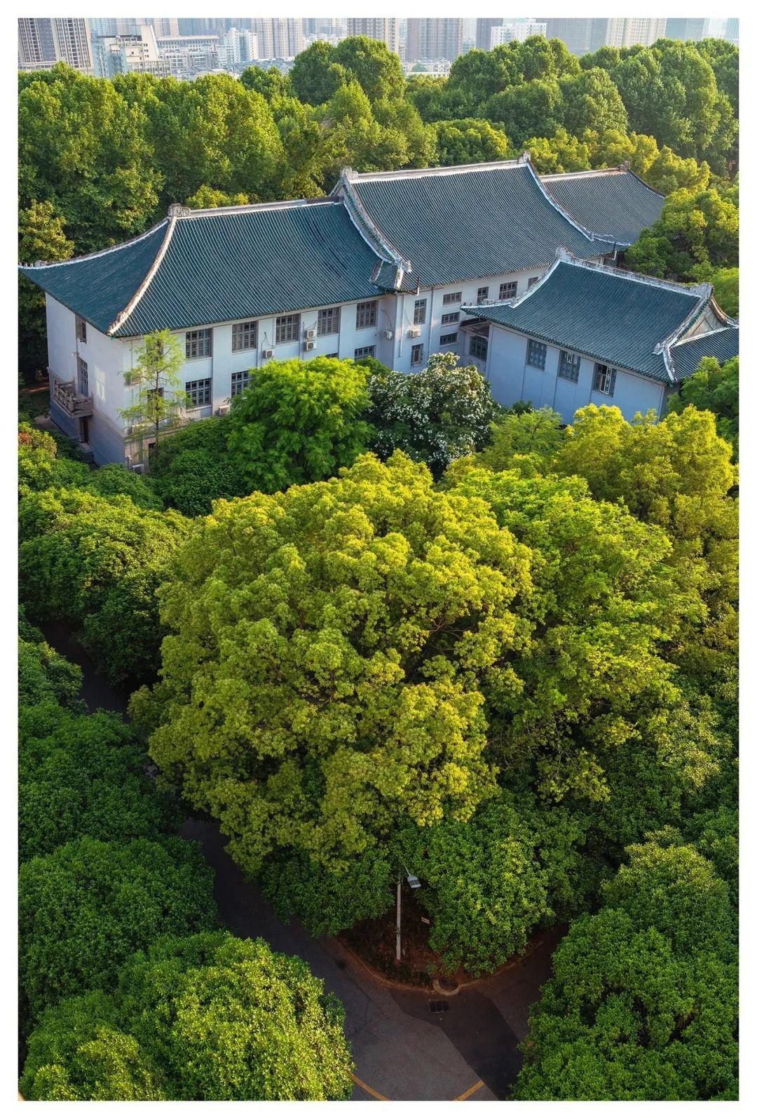 高考倒计时60天 | @高三学子,不负往昔,桂子山等待与你相遇!