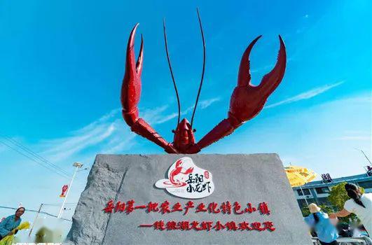 快来场逛吃逛吃的旅行龙虾小镇书记喊你来打卡嗨爽一整夏