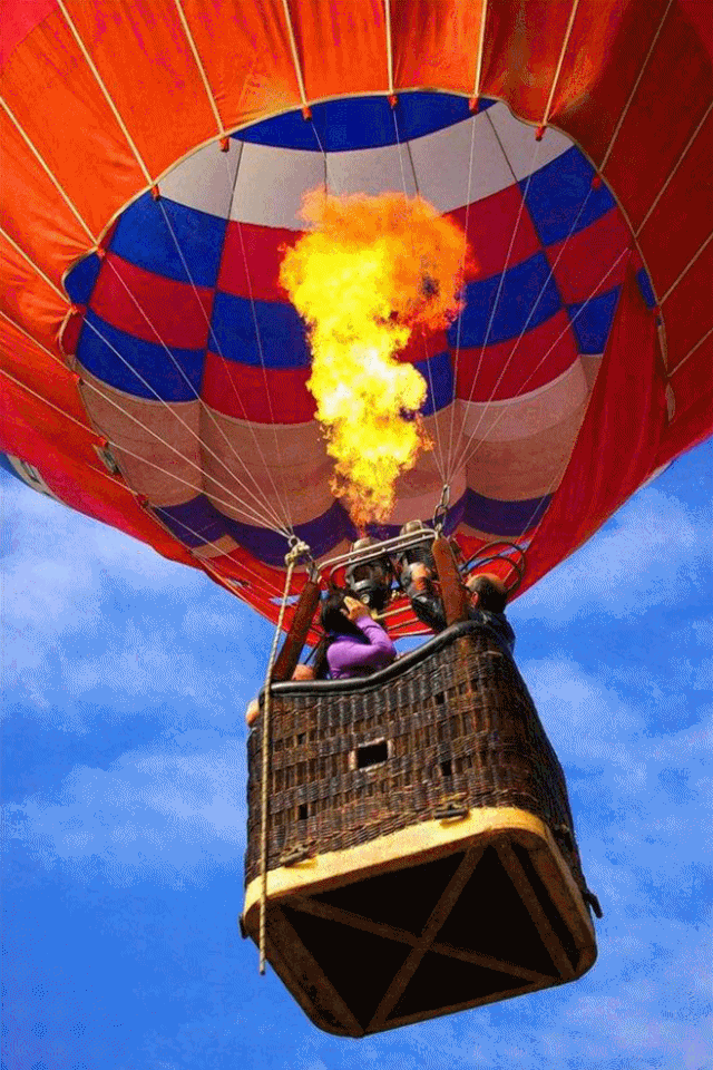 640_960竖版 竖屏gif 动态图 动图