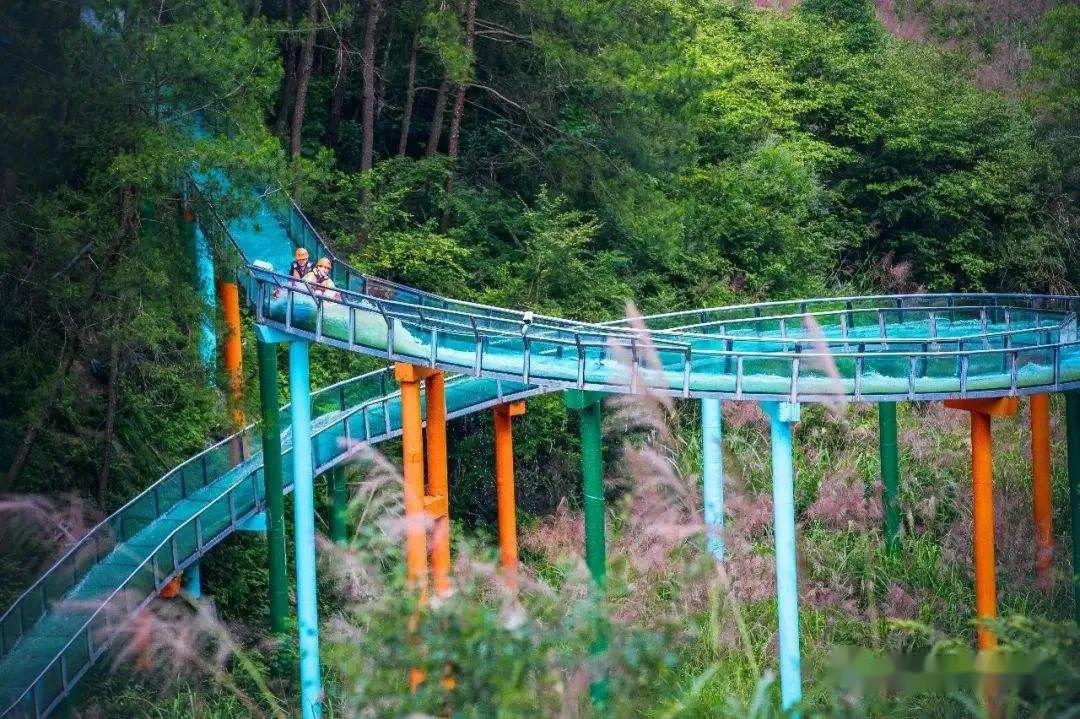 谁和我一起去归古玩醉美的丛林漂流