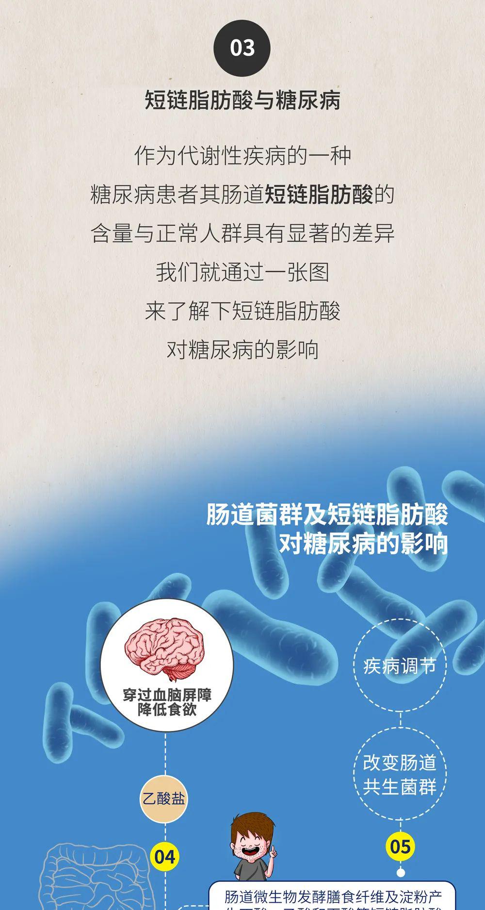 腸畫短說腸道菌群還能調節血糖離破解糖尿病發病之謎又進了一步