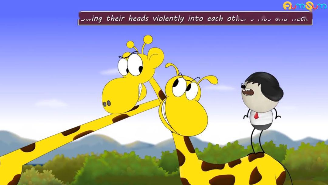 挖到这个bbc出品的动画片家里落灰两年的dk大书得救了