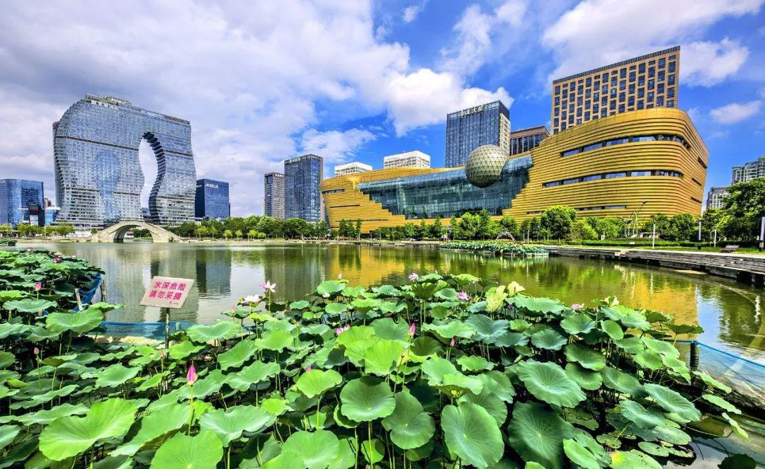 杭州高新区滨江强化数字治理建设更高水平的平安滨江