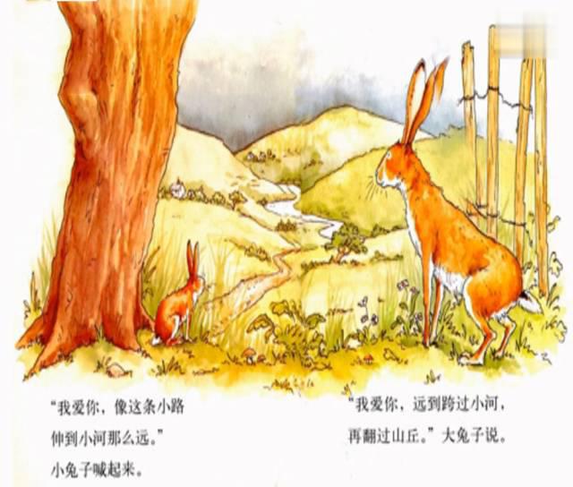 绘本故事《猜猜我有多爱你》"大兔子和小兔子用各种方式表达了