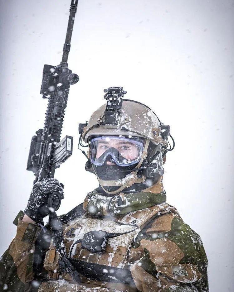 【外军掠影】北约成员国武装力量图集