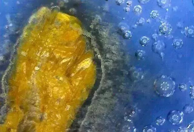 古瓷:在显微镜下的样子(仅供参考)_瓷器