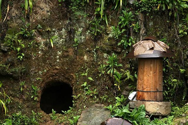 16,蜂桶,番薯洞17,棉菜饼18,梨花和远山19,夜色,万籁俱寂,唯有虫鸣end