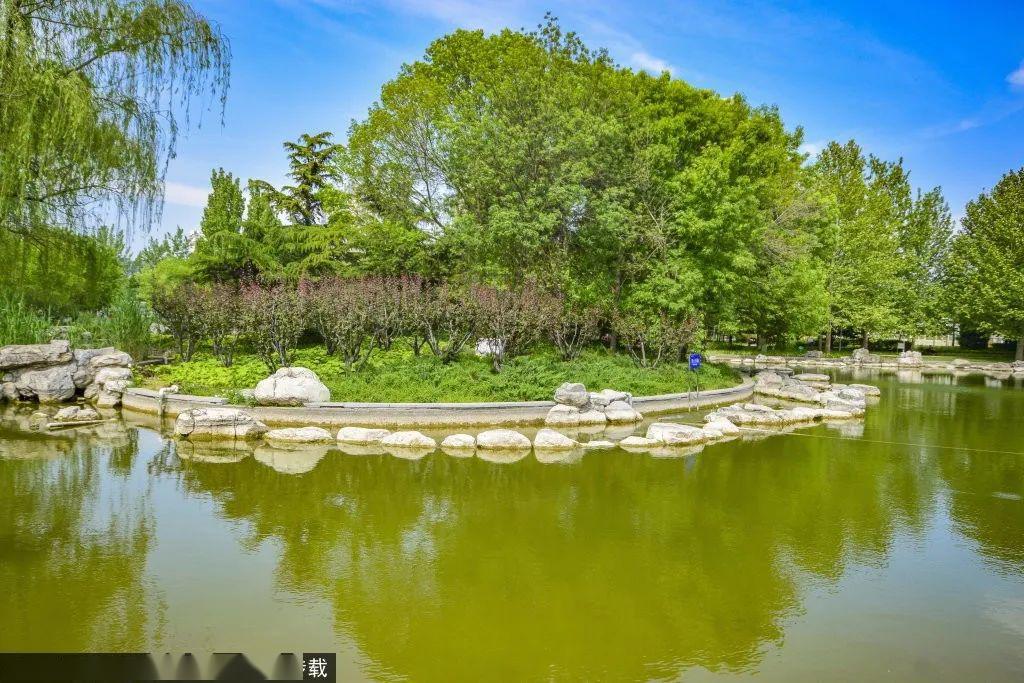 免費北京鬧市中竟藏著一個雅緻小公園湖光雲影竹林森森百花飄香