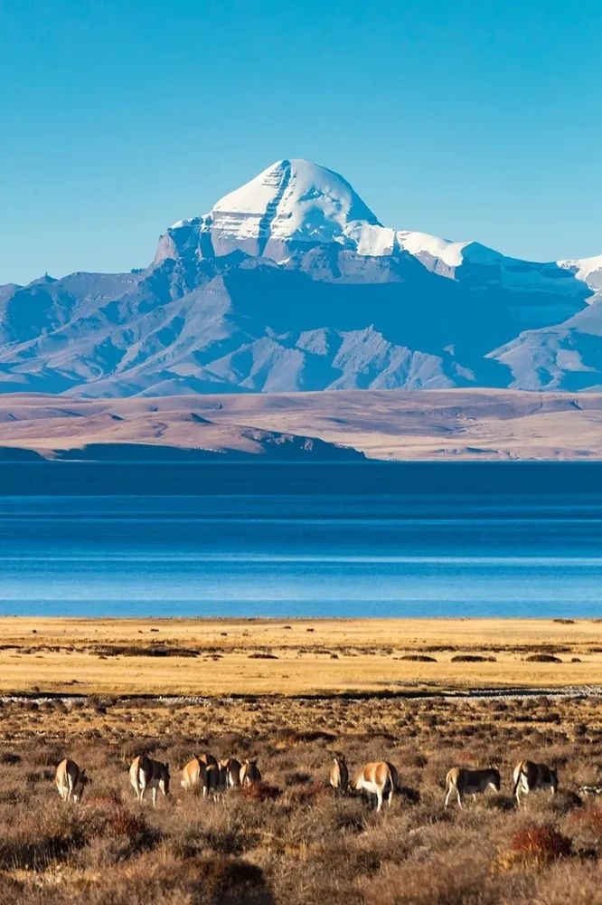 攻略阿里大北线天上阿里一措再措