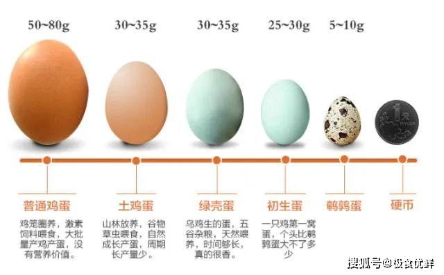 2,绿皮鸡蛋营养价值高吗 绿皮鸡蛋营养价值高