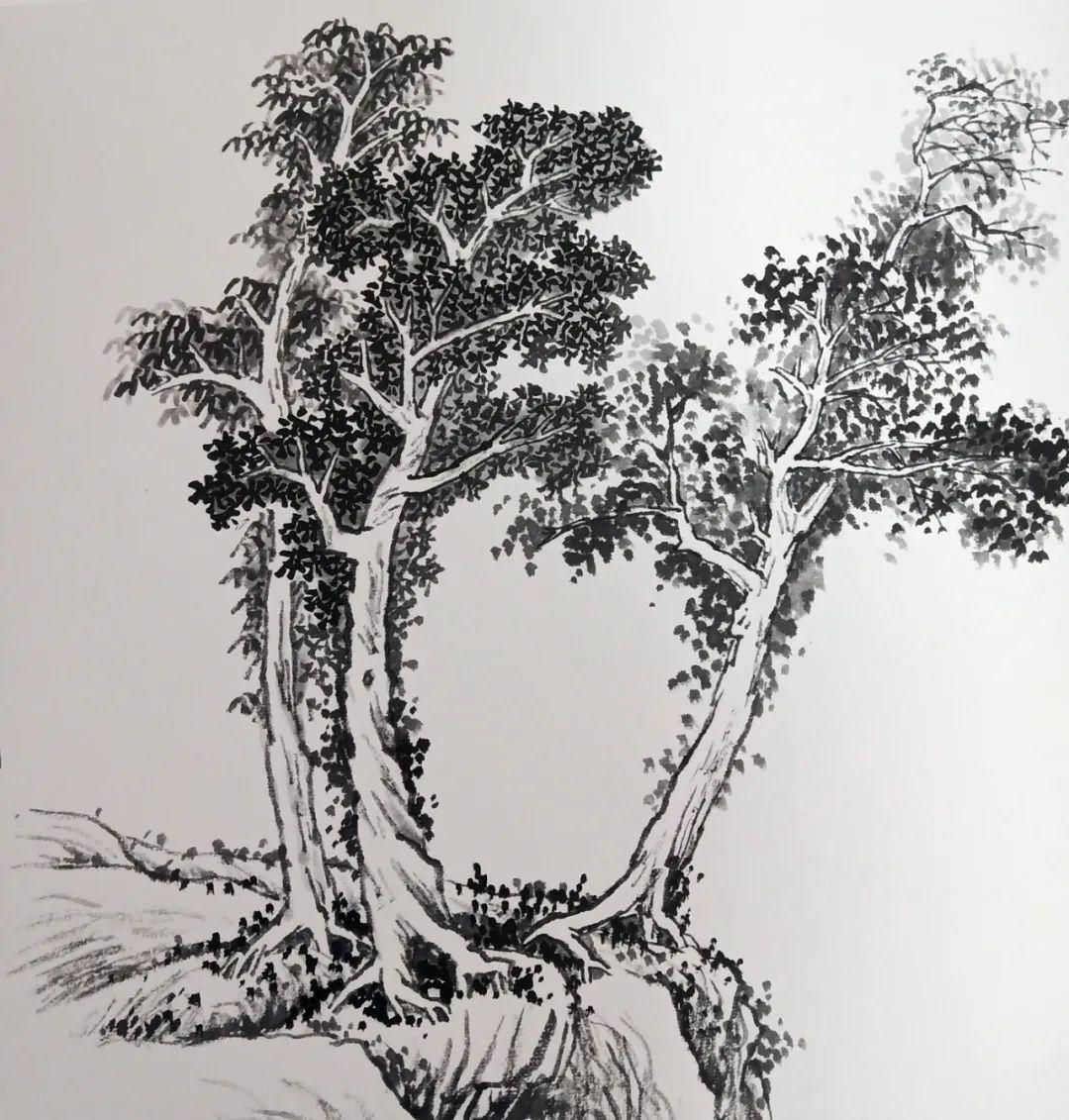 山水画树的组合画法图片