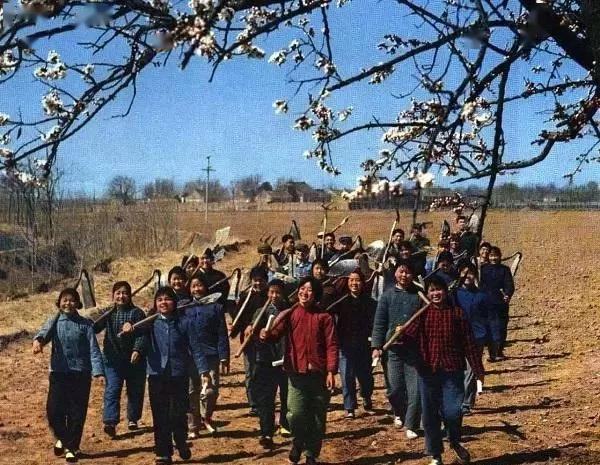 广阔天地大有可为记录当年知青下乡生活的珍贵彩色老照片