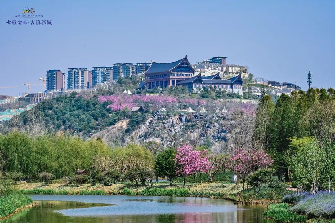 新团首发丨长腰山巅瞰滇探月观星,「云岭2期」"顶