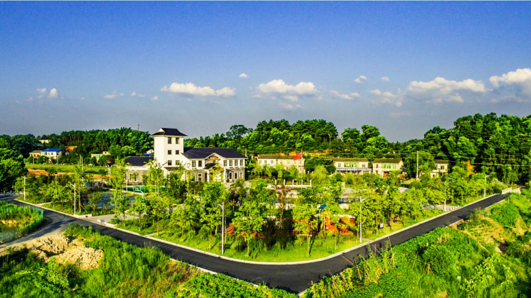 赏杜鹃摘青梅听山歌怡然北山镇邀你尽享田园风光