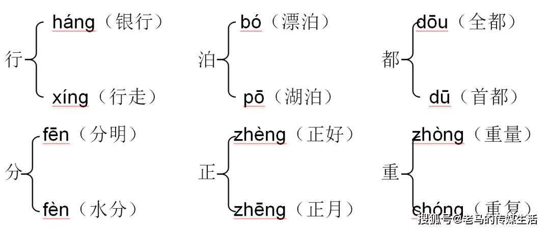 向导的近义词图片