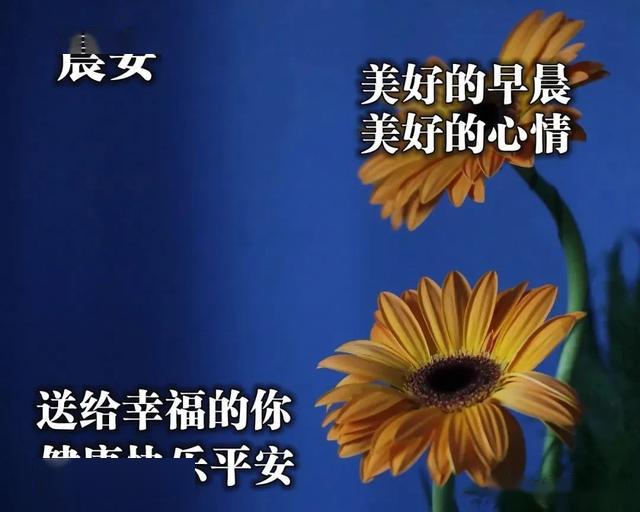 早上好唯美暖心問候語 早安祝福語漂亮圖片