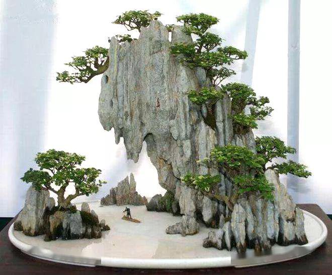 拆开山水盆景才恍然大悟原来植物要这样才能固定在山石盆景