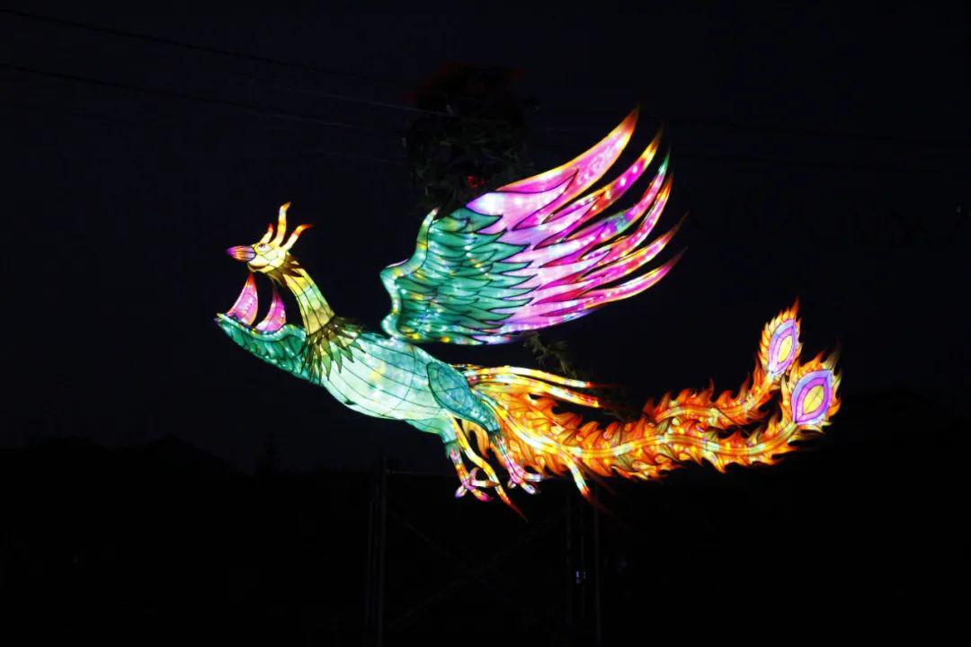 汉中首创展翅飞翔的凤凰,两大一小门票仅需19.9元_灯光