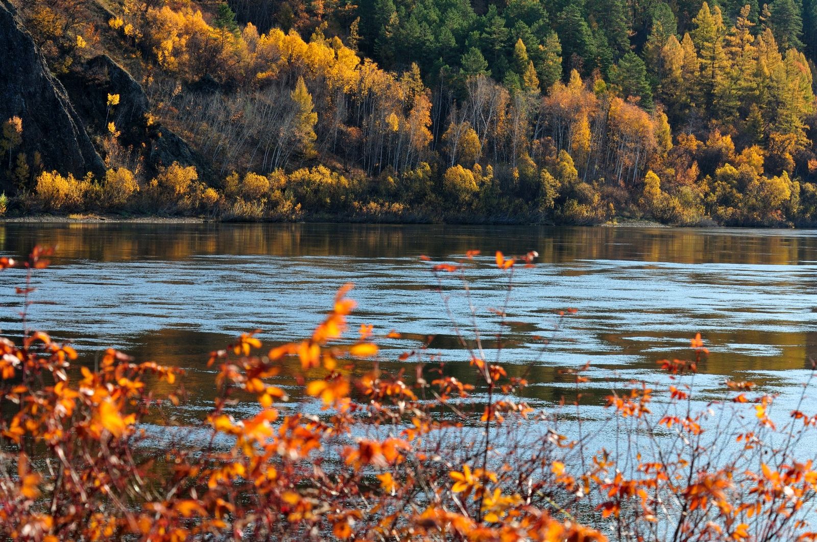 所以自然的外兴安岭就成了俄国被放置的区域,人气和中国的大兴安岭,小