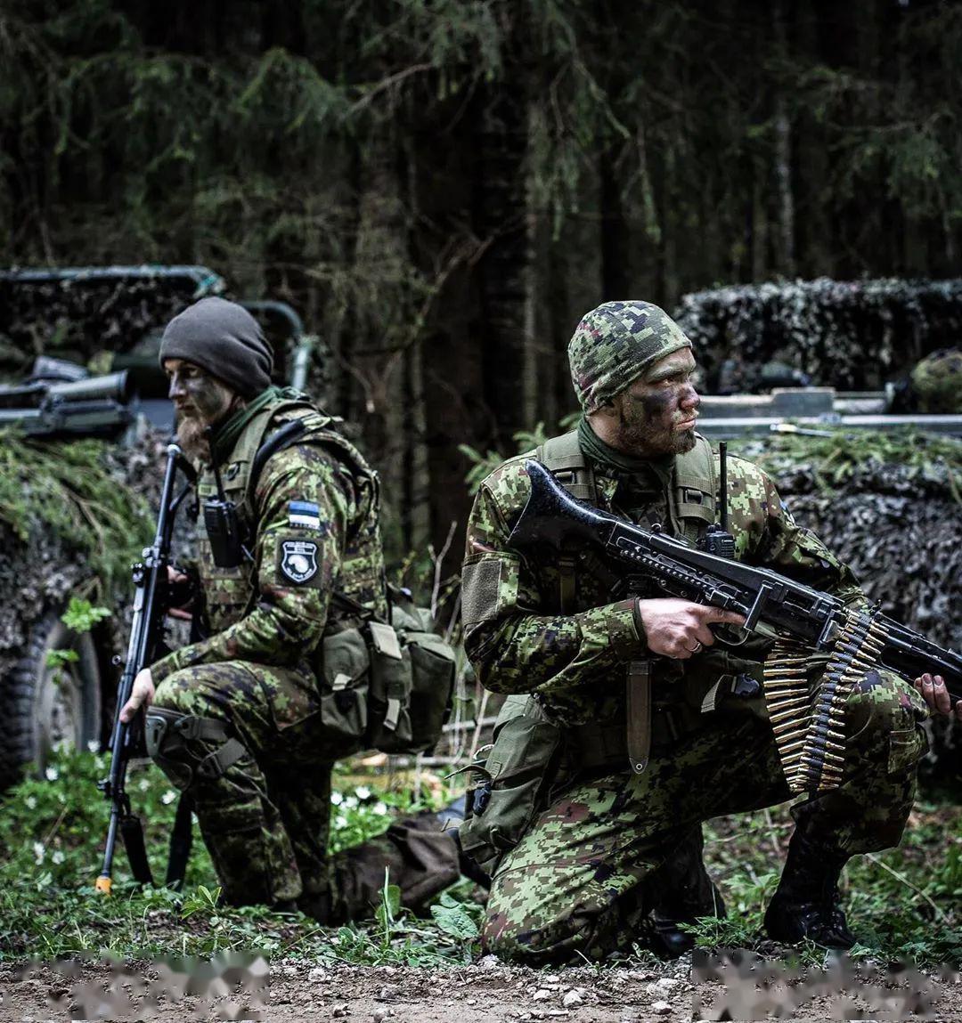 【外军掠影】北约成员国武装力量图集
