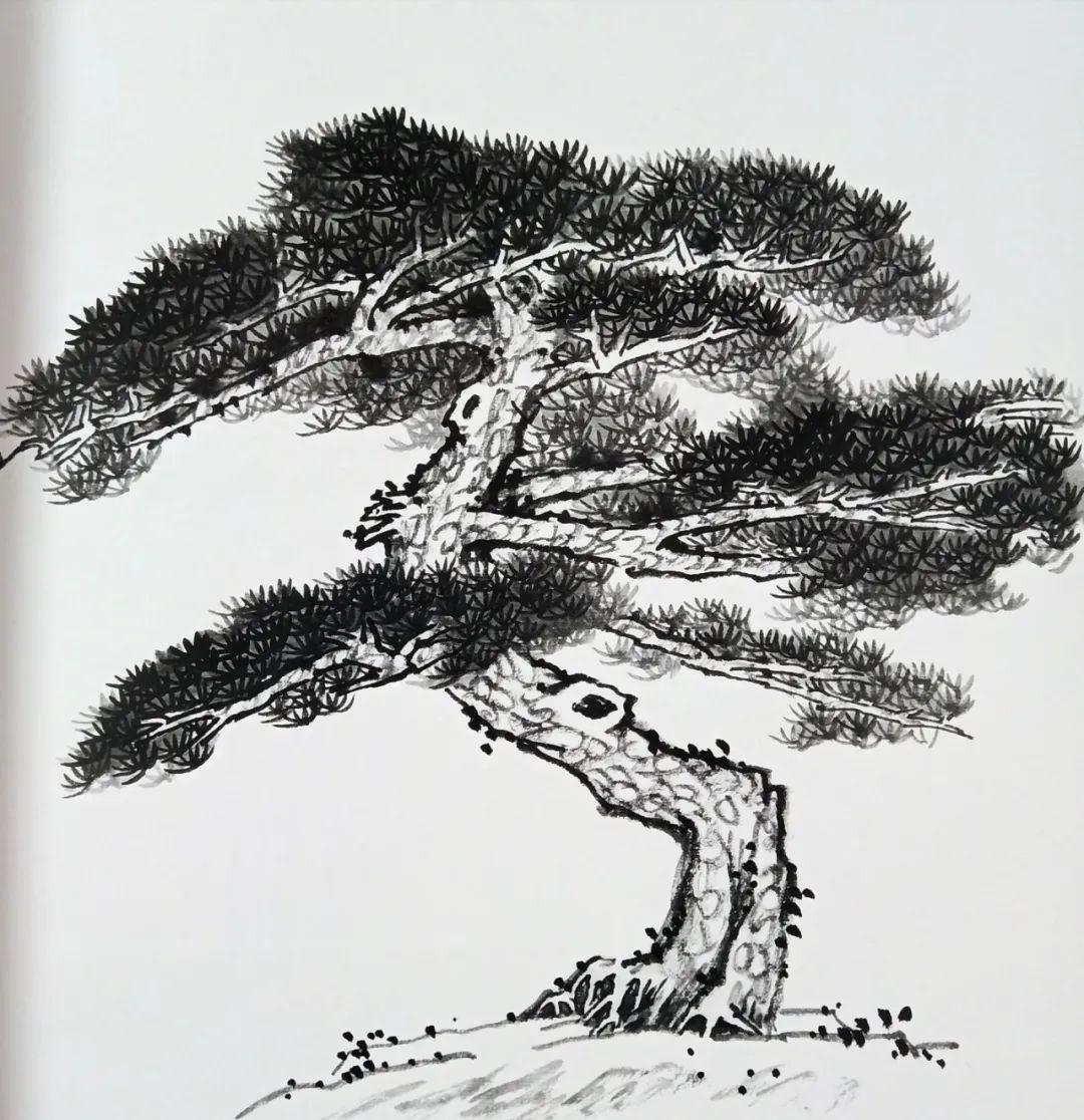 肖艳山水画基础班树木画法只需50元