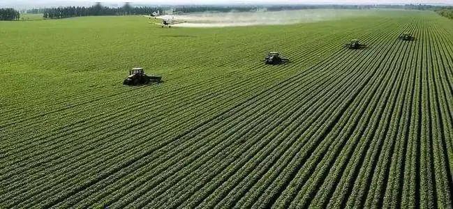 月读农业政策华北篇