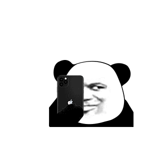 表情熊猫头手机拍照动态表情包