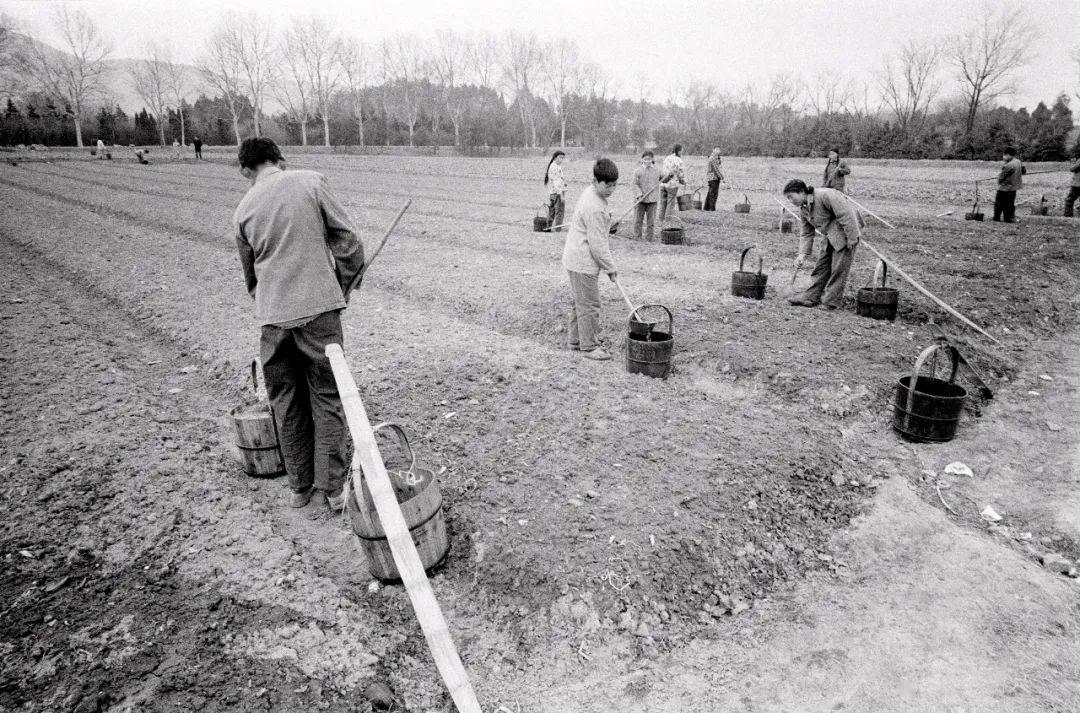 自己开垦荒地可以确权吗种植作物能拿补贴吗