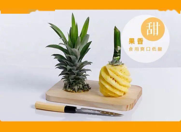 上过十二道锋味闻名全国的网红神湾菠萝又熟了肉脆多汁清甜无渣无需盐
