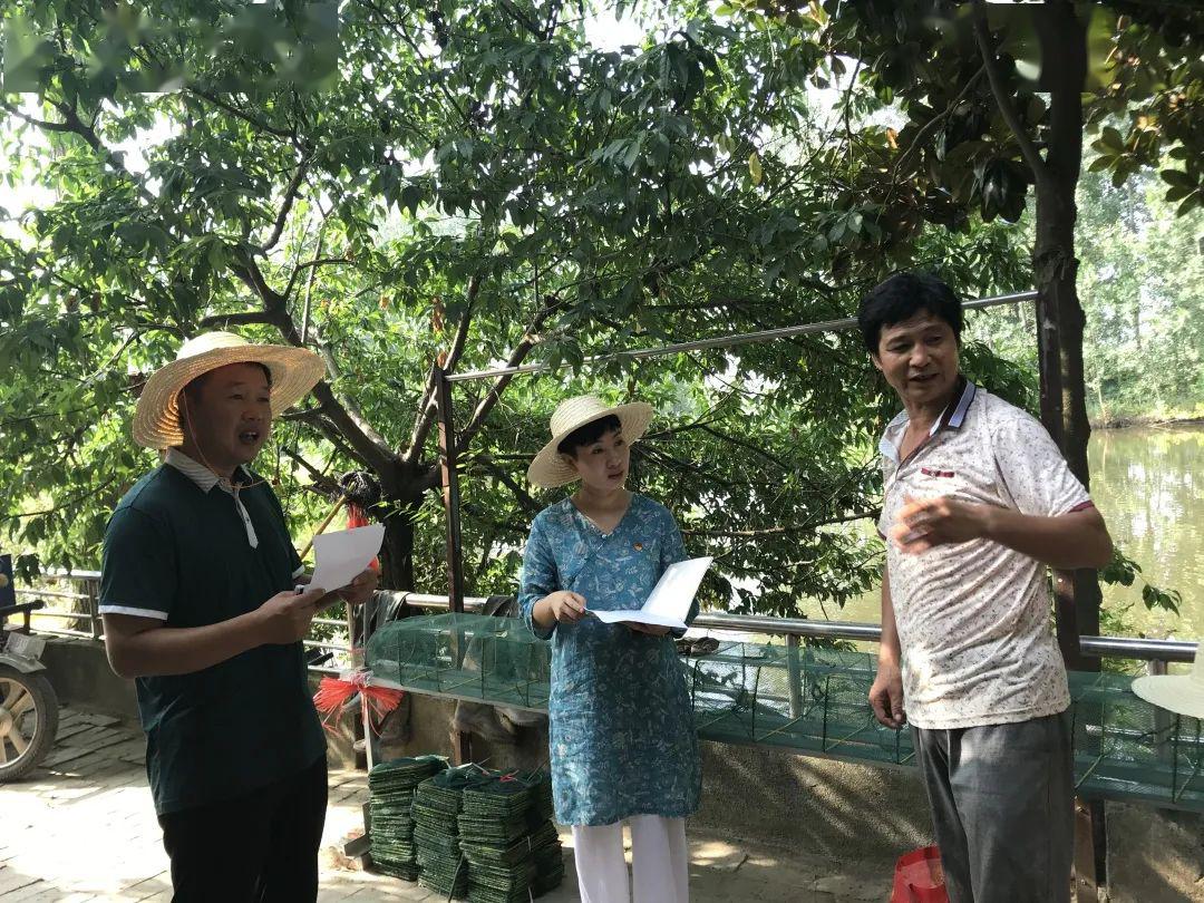 【决战决胜脱贫攻坚】心中有民泥土香 巾帼建功主战场——记淮滨县王