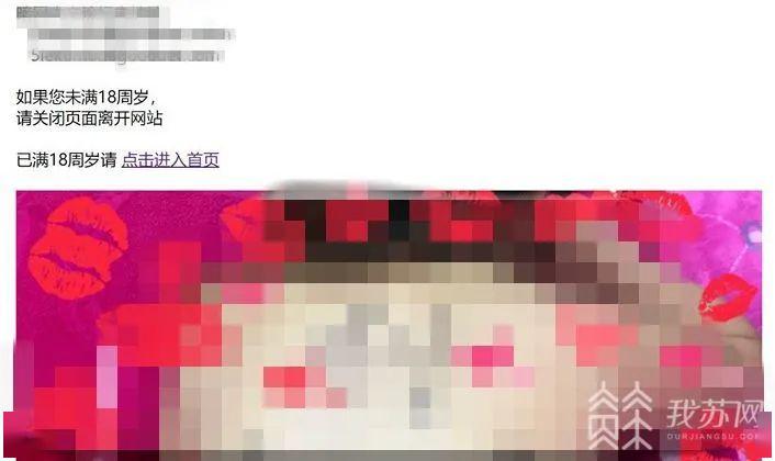 警方破获全国首起"暗网"淫秽色情网站案,会员超6万名