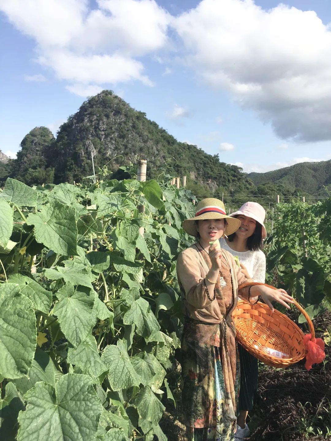 指导单位阳春市