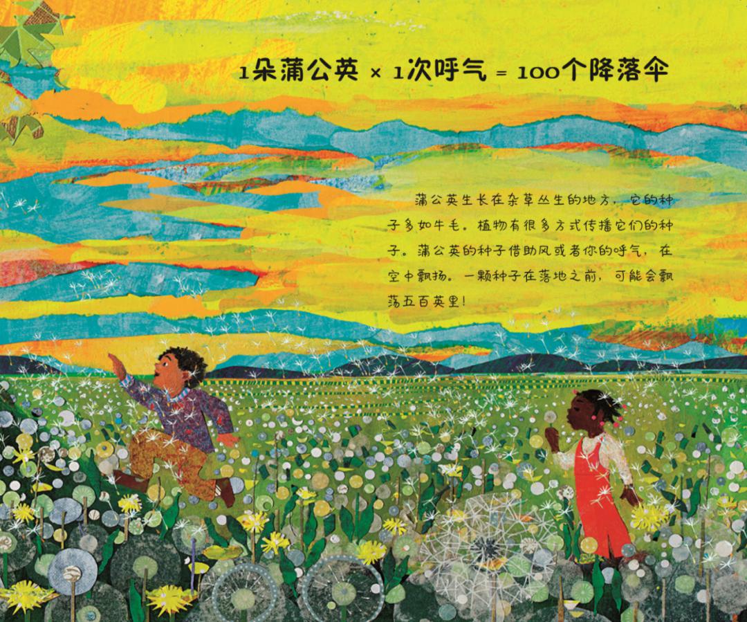 1朵蒲公英1次呼气100个降落伞这本绘本也太有趣了吧