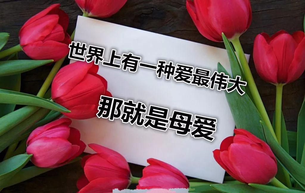 致此生最爱母亲献给所有的母亲