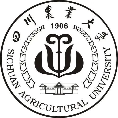 真题云南艺术学院真题中国人民大学真题安徽工程大学真题山东科技大学