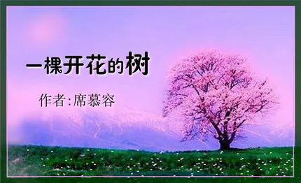 【"抗疫"读中书】一棵开花的树/司彩云