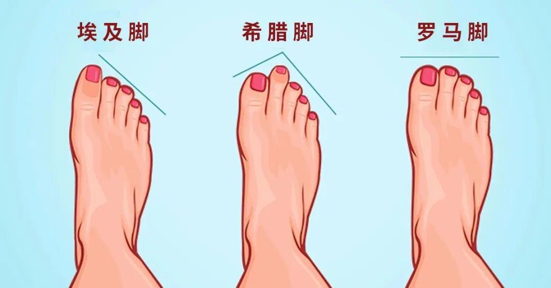 埃及脚,希腊脚和罗马脚.