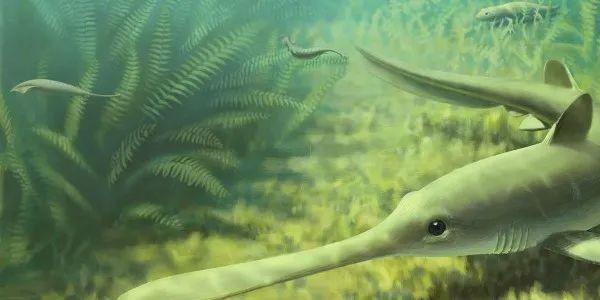 面目狰狞的远古"吸血鬼鱼",曾是暗黑美食还可能撑死过国王