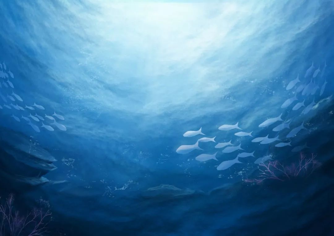 海底两万里的作品背景图片
