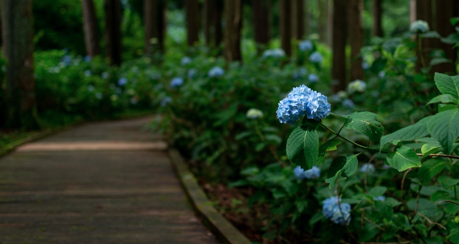 五一家电消费回暖，但品牌早已寡头化，黑电白电厨卫涨跌不一-家电圈官网