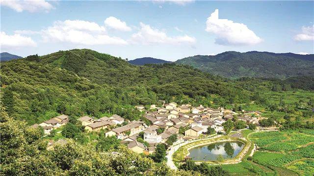 老家河南就是中系列報道之二河南鄉村旅遊成鄉村振興新引擎