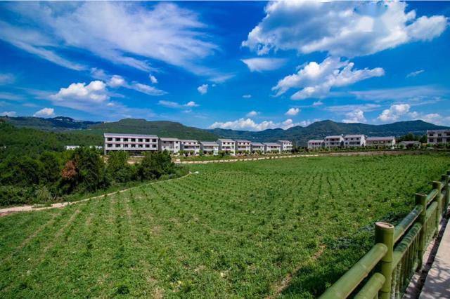 【决战决胜脱贫攻坚】向"绿水青山"借力建"生态宜居"家园_西河村