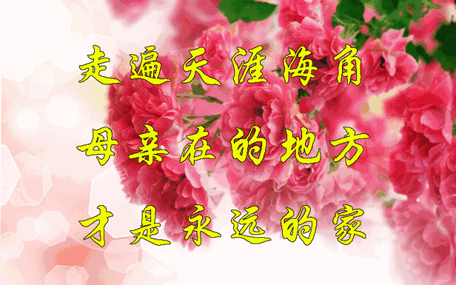 今日就是母亲节了祝愿全天下的母亲永远快乐年轻