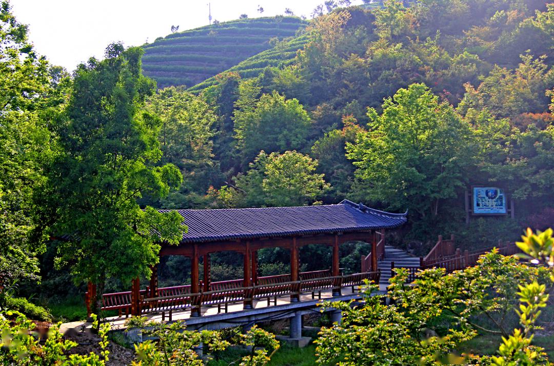 平阳朝阳山景区图片