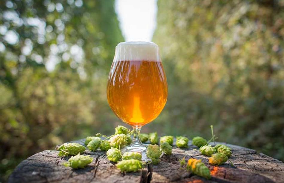 精酿啤酒革命何去何从_酿酒厂