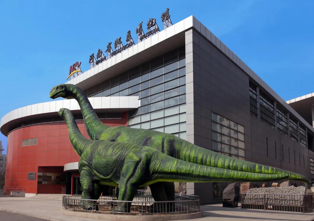河南省地质博物馆,寓教于乐,免费参观!