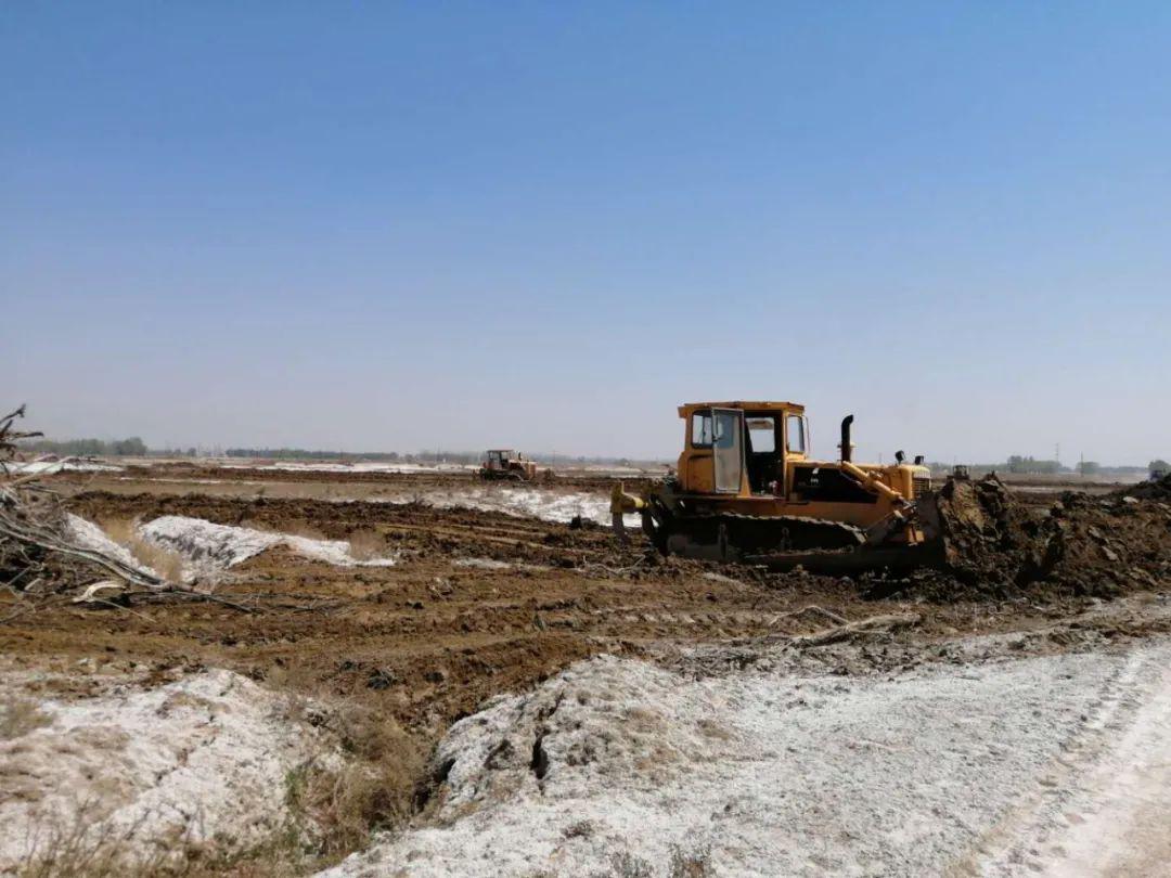 12316三农服务热线节目内蒙古盐碱地改良