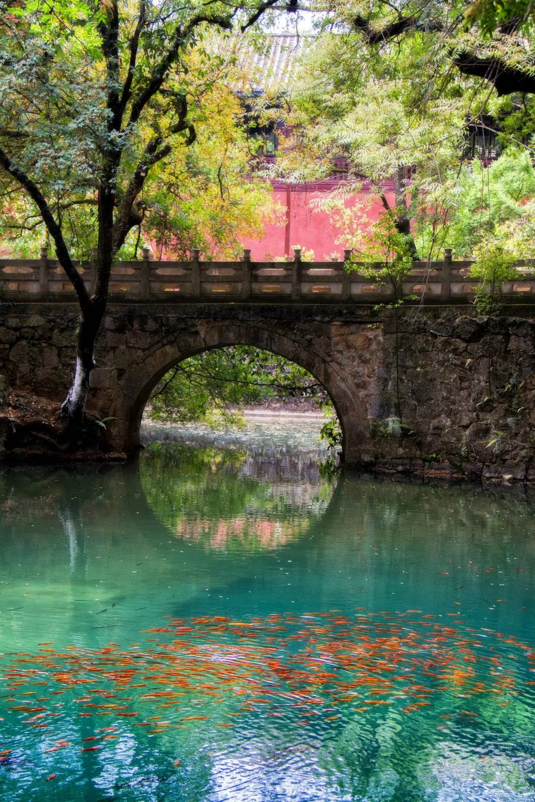 夏日炎炎 避暑我们选择玉溪九龙池